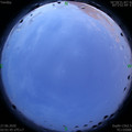 1593198153.jpg