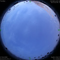 1593198213.jpg