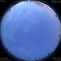 1593198273.jpg