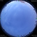 1593198453.jpg