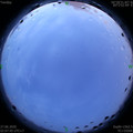1593198514.jpg