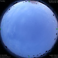 1593198574.jpg
