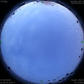 1593198634.jpg
