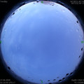 1593198694.jpg