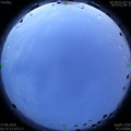 1593198964.jpg