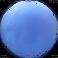 1593199024.jpg