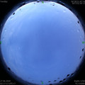 1593199084.jpg