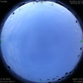 1593199204.jpg