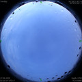 1593199264.jpg