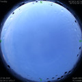 1593200104.jpg