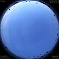 1593200239.jpg