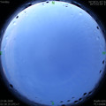 1593200374.jpg