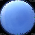 1593200419.jpg
