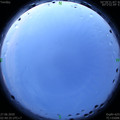 1593200479.jpg
