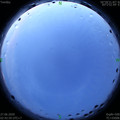 1593200630.jpg