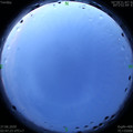 1593200900.jpg