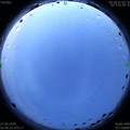 1593201020.jpg