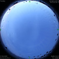 1593201305.jpg