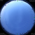 1593201440.jpg