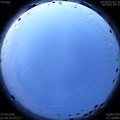 1593201620.jpg