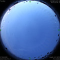 1593202100.jpg