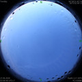 1593202220.jpg