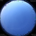 1593202310.jpg