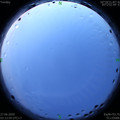 1593202430.jpg
