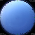 1593202700.jpg