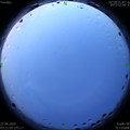 1593202956.jpg