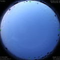 1593203031.jpg