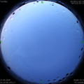 1593203091.jpg