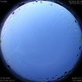 1593203151.jpg