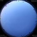 1593203271.jpg