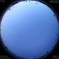 1593203466.jpg