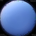 1593203901.jpg