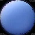 1593204021.jpg