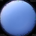 1593204141.jpg