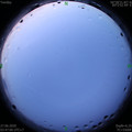 1593204456.jpg