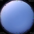 1593204757.jpg