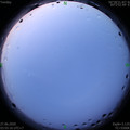 1593204952.jpg