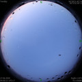 1593205252.jpg