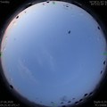 1593206767.jpg