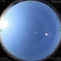 1593218083.jpg
