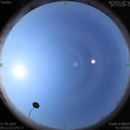1593223981.jpg