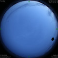 1593273445.jpg