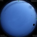 1593273686.jpg