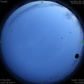 1593273746.jpg