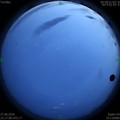 1593274661.jpg