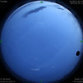 1593274841.jpg